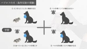 脳イキ意味|脳イキの仕組みを徹底解説してみた！〜体の仕組みと。